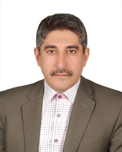Professor Seyed Movayed Alavian